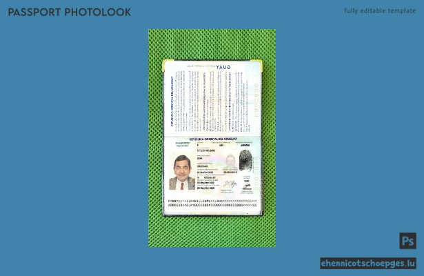 Beispielansicht eines Passfotos für Uruguay